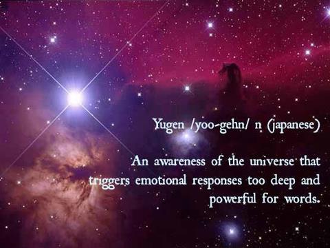 553185_530335180320831_1893445406_n