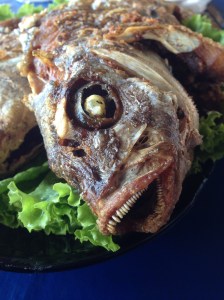Fried Rock Fish